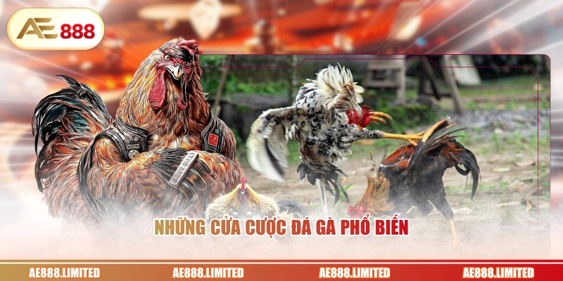 Những cửa cược đá gà phổ biến 