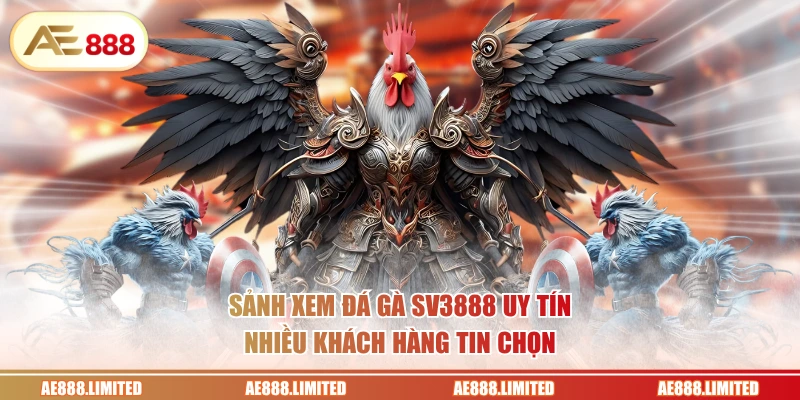 Sảnh xem đá gà SV3888 uy tín nhiều khách hàng tin chọn