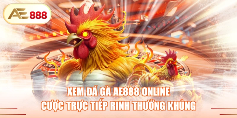 Xem Đá Gà AE888 Online - Cược Trực Tiếp Rinh Thưởng Khủng